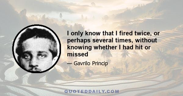 I only know that I fired twice, or perhaps several times, without knowing whether I had hit or missed