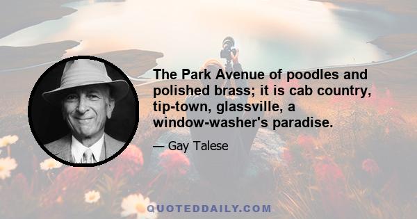 The Park Avenue of poodles and polished brass; it is cab country, tip-town, glassville, a window-washer's paradise.