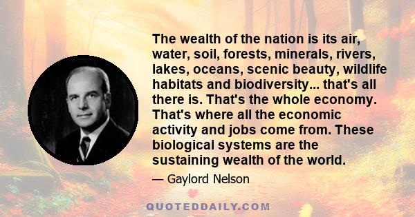 The wealth of the nation is its air, water, soil, forests, minerals, rivers, lakes, oceans, scenic beauty, wildlife habitats and biodiversity... that's all there is. That's the whole economy. That's where all the