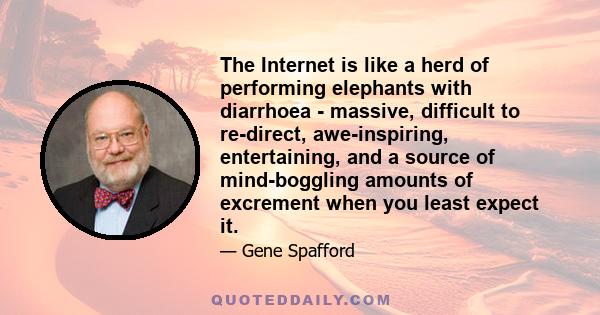 The Internet is like a herd of performing elephants with diarrhoea - massive, difficult to re-direct, awe-inspiring, entertaining, and a source of mind-boggling amounts of excrement when you least expect it.