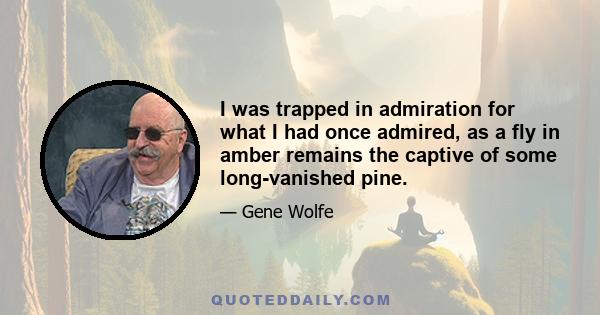 I was trapped in admiration for what I had once admired, as a fly in amber remains the captive of some long-vanished pine.