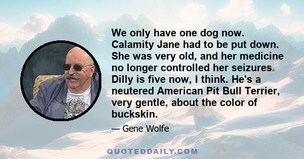 We only have one dog now. Calamity Jane had to be put down. She was very old, and her medicine no longer controlled her seizures. Dilly is five now, I think. He's a neutered American Pit Bull Terrier, very gentle, about 