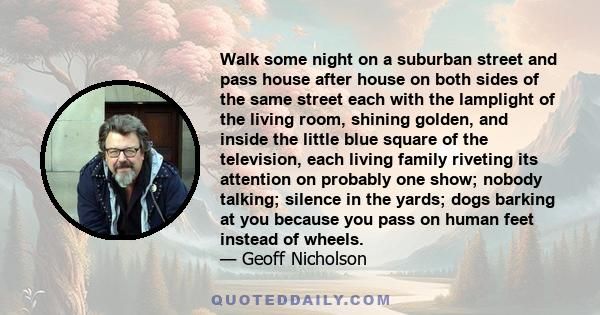 Walk some night on a suburban street and pass house after house on both sides of the same street each with the lamplight of the living room, shining golden, and inside the little blue square of the television, each