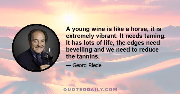 A young wine is like a horse, it is extremely vibrant. It needs taming. It has lots of life, the edges need bevelling and we need to reduce the tannins.