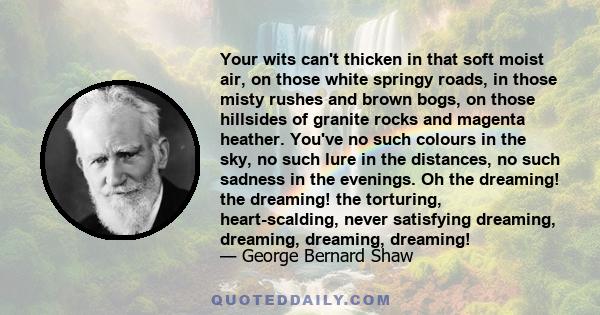 Your wits can't thicken in that soft moist air, on those white springy roads, in those misty rushes and brown bogs, on those hillsides of granite rocks and magenta heather. You've no such colours in the sky, no such