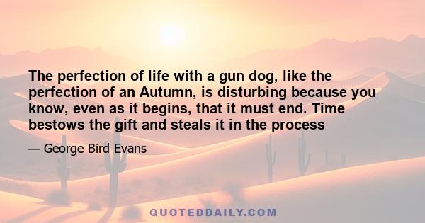 The perfection of life with a gun dog, like the perfection of an Autumn, is disturbing because you know, even as it begins, that it must end. Time bestows the gift and steals it in the process