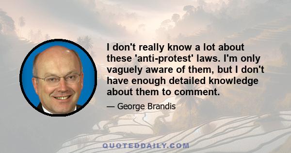 I don't really know a lot about these 'anti-protest' laws. I'm only vaguely aware of them, but I don't have enough detailed knowledge about them to comment.