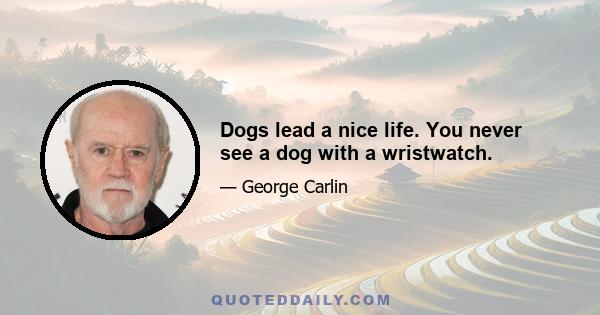 Dogs lead a nice life. You never see a dog with a wristwatch.