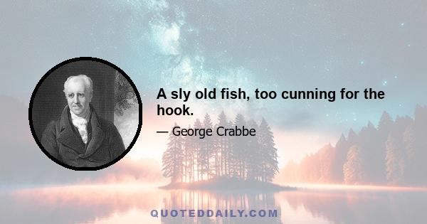 A sly old fish, too cunning for the hook.