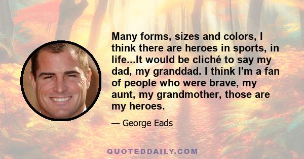 Many forms, sizes and colors, I think there are heroes in sports, in life...It would be cliché to say my dad, my granddad. I think I'm a fan of people who were brave, my aunt, my grandmother, those are my heroes.