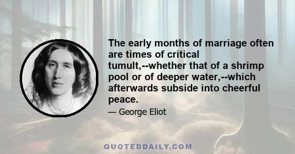 The early months of marriage often are times of critical tumult,--whether that of a shrimp pool or of deeper water,--which afterwards subside into cheerful peace.