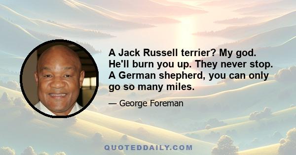 A Jack Russell terrier? My god. He'll burn you up. They never stop. A German shepherd, you can only go so many miles.