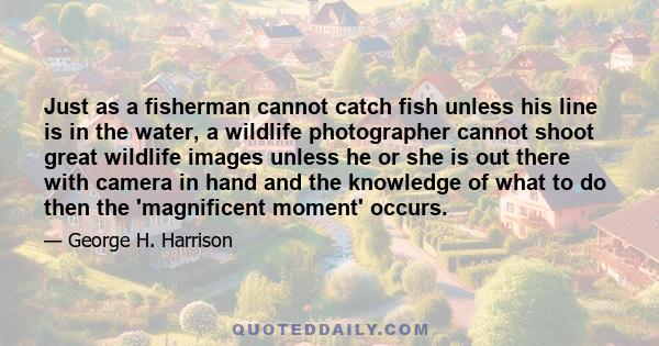 Just as a fisherman cannot catch fish unless his line is in the water, a wildlife photographer cannot shoot great wildlife images unless he or she is out there with camera in hand and the knowledge of what to do then