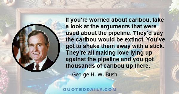 If you're worried about caribou, take a look at the arguments that were used about the pipeline. They'd say the caribou would be extinct. You've got to shake them away with a stick. They're all making love lying up