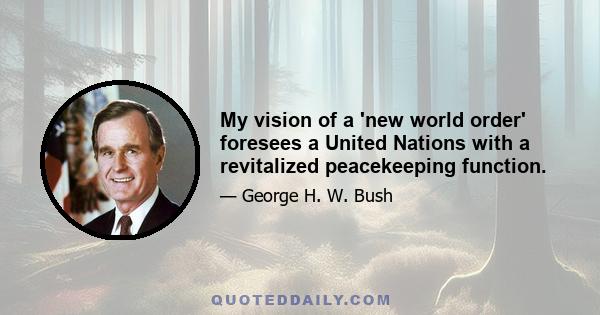 My vision of a 'new world order' foresees a United Nations with a revitalized peacekeeping function.