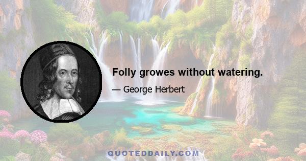 Folly growes without watering.