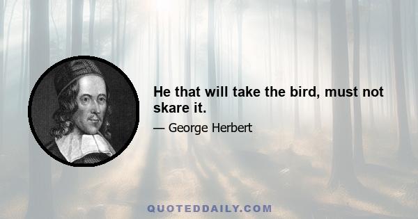 He that will take the bird, must not skare it.