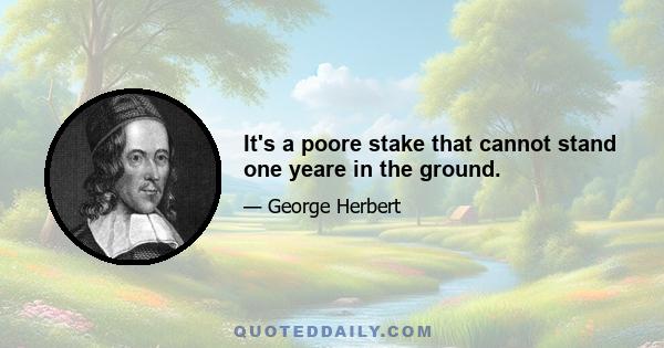 It's a poore stake that cannot stand one yeare in the ground.