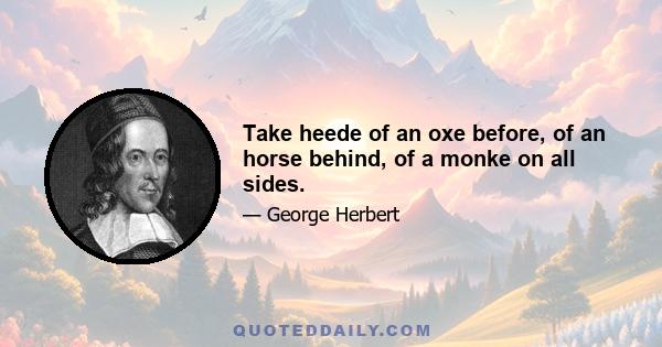 Take heede of an oxe before, of an horse behind, of a monke on all sides.