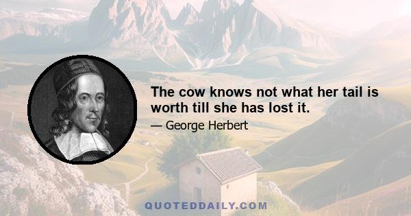 The cow knows not what her tail is worth till she has lost it.