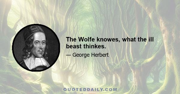 The Wolfe knowes, what the ill beast thinkes.