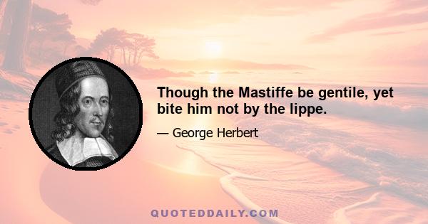 Though the Mastiffe be gentile, yet bite him not by the lippe.