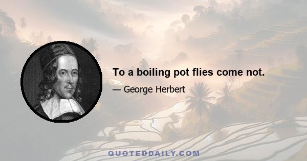 To a boiling pot flies come not.