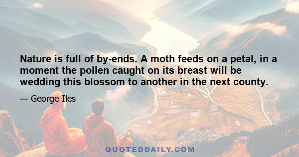 Nature is full of by-ends. A moth feeds on a petal, in a moment the pollen caught on its breast will be wedding this blossom to another in the next county.