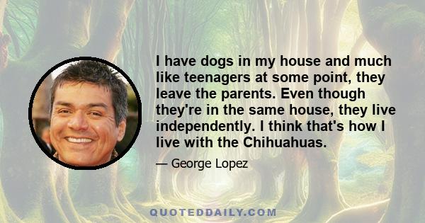 I have dogs in my house and much like teenagers at some point, they leave the parents. Even though they're in the same house, they live independently. I think that's how I live with the Chihuahuas.