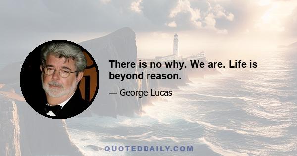 There is no why. We are. Life is beyond reason.