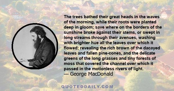 The trees bathed their great heads in the waves of the morning, while their roots were planted deep in gloom; save where on the borders of the sunshine broke against their stems, or swept in long streams through their