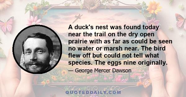 A duck's nest was found today near the trail on the dry open prairie with as far as could be seen no water or marsh near. The bird flew off but could not tell what species. The eggs nine originally.