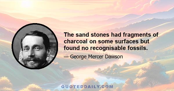 The sand stones had fragments of charcoal on some surfaces but found no recognisable fossils.