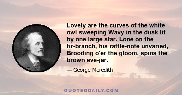 Lovely are the curves of the white owl sweeping Wavy in the dusk lit by one large star. Lone on the fir-branch, his rattle-note unvaried, Brooding o'er the gloom, spins the brown eve-jar.