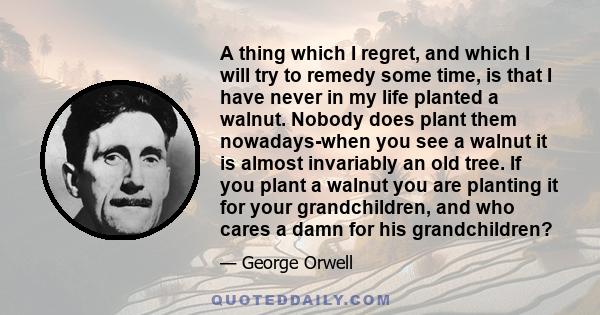 A thing which I regret, and which I will try to remedy some time, is that I have never in my life planted a walnut. Nobody does plant them nowadays-when you see a walnut it is almost invariably an old tree. If you plant 