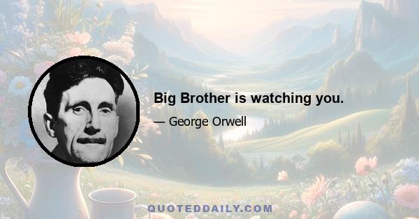 Big Brother is watching you.