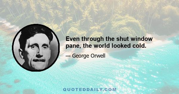 Even through the shut window pane, the world looked cold.