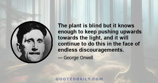 The plant is blind but it knows enough to keep pushing upwards towards the light, and it will continue to do this in the face of endless discouragements.