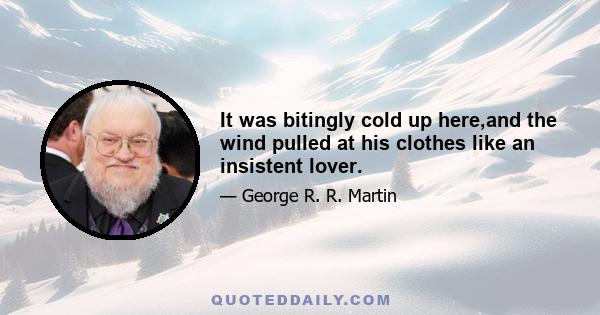 It was bitingly cold up here,and the wind pulled at his clothes like an insistent lover.