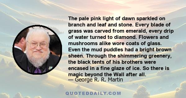 The pale pink light of dawn sparkled on branch and leaf and stone. Every blade of grass was carved from emerald, every drip of water turned to diamond. Flowers and mushrooms alike wore coats of glass. Even the mud