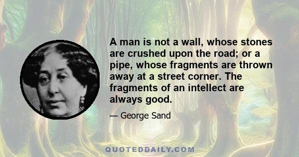 A man is not a wall, whose stones are crushed upon the road; or a pipe, whose fragments are thrown away at a street corner. The fragments of an intellect are always good.