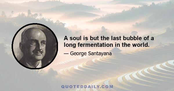 A soul is but the last bubble of a long fermentation in the world.