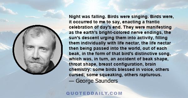 Night was falling. Birds were singing. Birds were, it occurred to me to say, enacting a frantic celebration of day's end. They were manifesting as the earth's bright-colored nerve endings, the sun's descent urging them