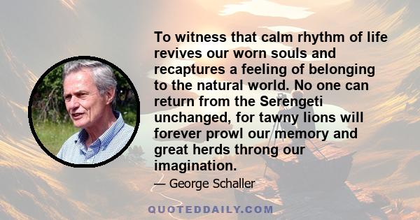 To witness that calm rhythm of life revives our worn souls and recaptures a feeling of belonging to the natural world. No one can return from the Serengeti unchanged, for tawny lions will forever prowl our memory and