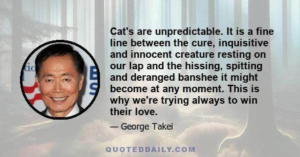 Cat's are unpredictable. It is a fine line between the cure, inquisitive and innocent creature resting on our lap and the hissing, spitting and deranged banshee it might become at any moment. This is why we're trying