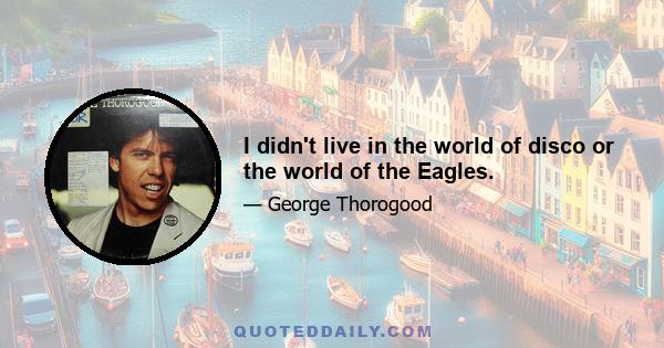 I didn't live in the world of disco or the world of the Eagles.