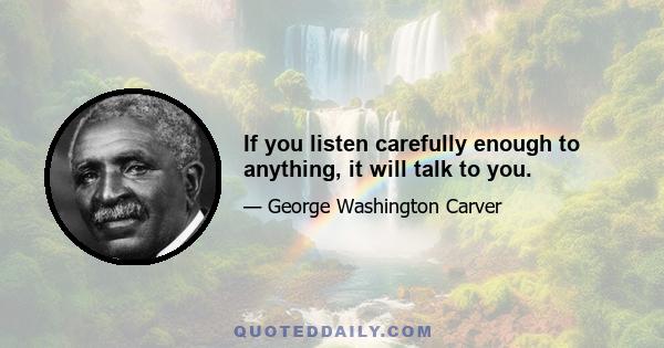 If you listen carefully enough to anything, it will talk to you.