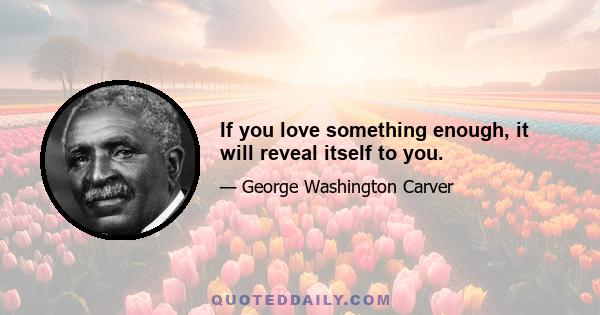 If you love something enough, it will reveal itself to you.