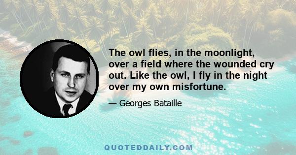 The owl flies, in the moonlight, over a field where the wounded cry out. Like the owl, I fly in the night over my own misfortune.