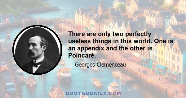 There are only two perfectly useless things in this world. One is an appendix and the other is Poincaré.